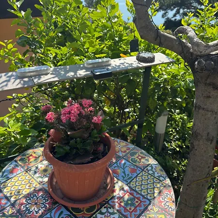 Alojamento de Acomodação e Pequeno-almoço Il Quadrifoglio